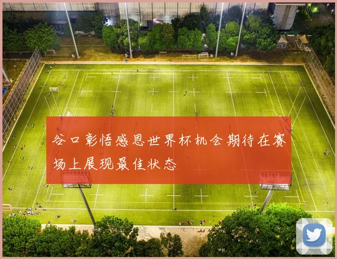 谷口彰悟感恩世界杯机会期待在赛场上展现最佳状态