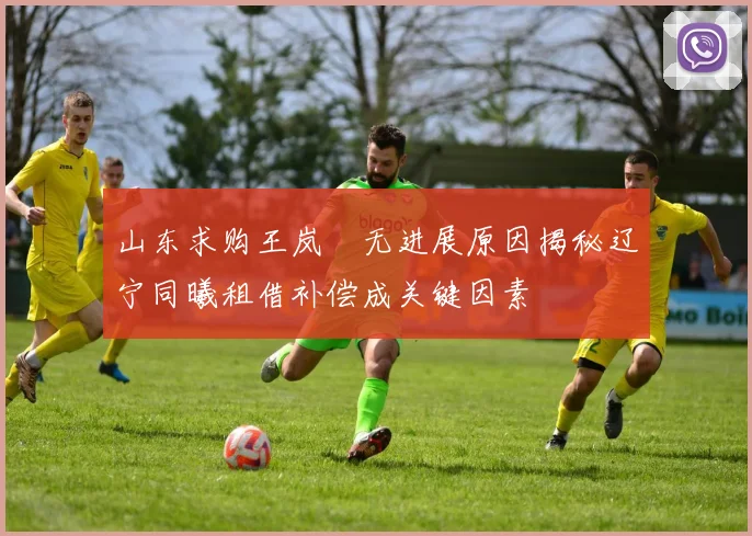 山东求购王岚嵚无进展原因揭秘辽宁同曦租借补偿成关键因素