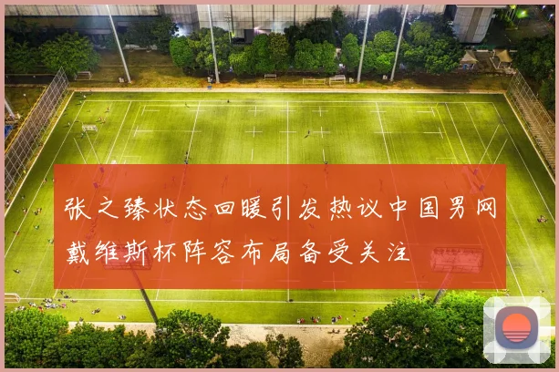 张之臻状态回暖引发热议中国男网戴维斯杯阵容布局备受关注