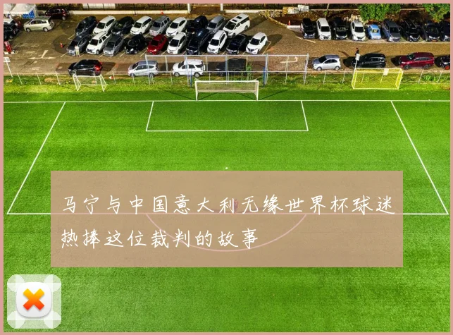 马宁与中国意大利无缘世界杯球迷热捧这位裁判的故事